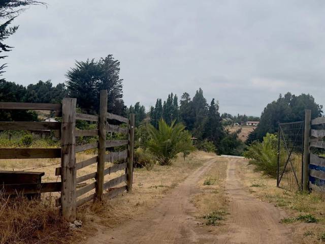 #24 - Área para Venta en Puchuncaví - V