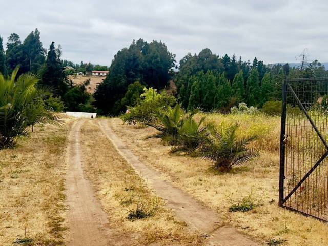 #24 - Área para Venta en Puchuncaví - V